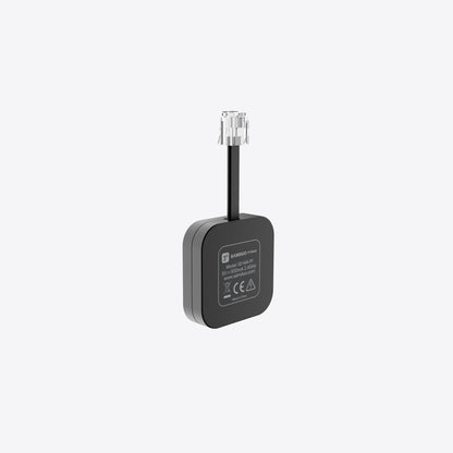 SAMDUO P1 Meter