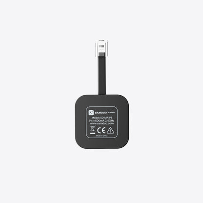 SAMDUO P1 Meter